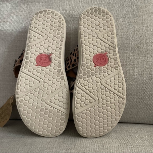 Size 6 Born Animal Print 3 Buckle Sandal - Picture 4 of 4